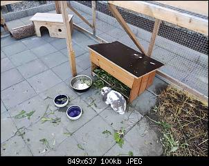 Kaninchenstall und Gehege -- Planungshilfe ---img_20220923_180129.jpg