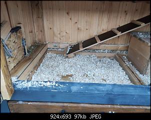 Kaninchenstall und Gehege -- Planungshilfe ---img_20220923_180317.jpg
