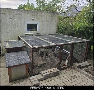 Eure Meinung zum geplanten Kaninchengehege-20240909_222445.jpg