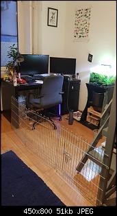 �berlegung Bau Zimmergehege-whatsapp-image-2024-11-28-17.28.59.jpg