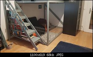 �berlegung Bau Zimmergehege-whatsapp-image-2024-11-28-17.28.58.jpg