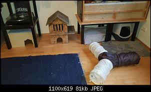 �berlegung Bau Zimmergehege-whatsapp-image-2024-12-22-15.05.04.jpg