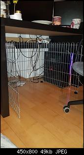 �berlegung Bau Zimmergehege-whatsapp-image-2024-12-22-16.25.24.jpg