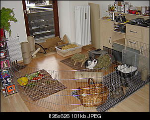 Eure Gehege-dsc01059.jpg