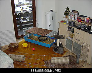 Eure Gehege-dsc00254.jpg