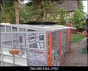 Fotos - Freilaufgehege und Au�enstall - Der Bau ist fast fertig-nr-1-4-.jpg