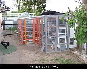 Fotos - Freilaufgehege und Au�enstall - Der Bau ist fast fertig-nr-1-2-.jpg