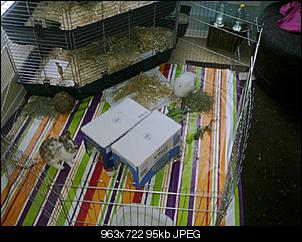 zu hoch?-06062011471.jpg