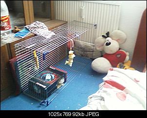 Projekt: Zimmer Ninchensicher machen-foto0051.jpg