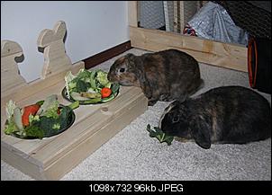 Futterbar-img_1687_1.jpg