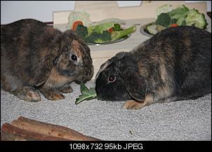 Futterbar-img_1693_1.jpg