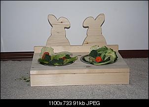 Futterbar-img_1694_1.jpg