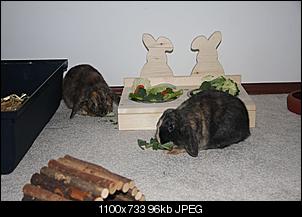 Futterbar-img_1691_1.jpg