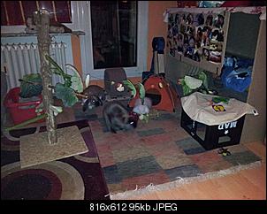 Klicke auf die Grafik f�r eine gr��ere Ansicht

Name:	IMG-20120128-WA0001.jpg
Hits:	166
Gr��e:	95,0 KB
ID:	12143