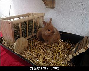 Klicke auf die Grafik f�r eine gr��ere Ansicht

Name:	303654_4168776063071_1695642330_n.jpg
Hits:	3916
Gr��e:	77,6 KB
ID:	15899