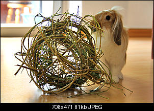 Klicke auf die Grafik f�r eine gr��ere Ansicht

Name:	10-06-2012 046-b.jpg
Hits:	377
Gr��e:	80,8 KB
ID:	16465
