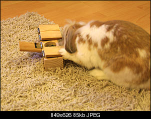 Selbstgebautes Logikspiel-25-07-2012-022-b.jpg