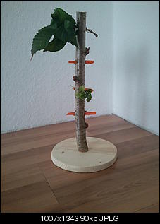 Hier kommt mein Futterbaum:)-2012-09-12-11.00.09.jpg