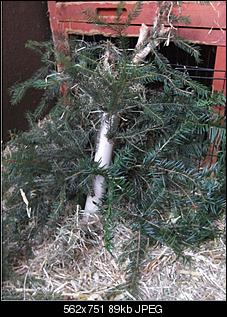 Black und Blackys Bastler-baum.jpg
