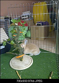 Klicke auf die Grafik f�r eine gr��ere Ansicht

Name:	17052010059.jpg
Hits:	964
Gr��e:	96,9 KB
ID:	2053