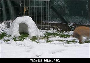 Iglu-iglu1.jpg