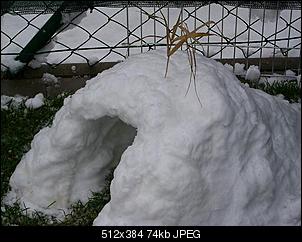 Iglu-iglu2.jpg