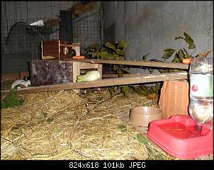 Spielzeug selber bauen aber wie?-stall-006.jpg