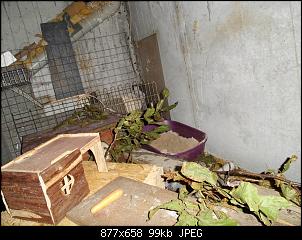 Spielzeug selber bauen aber wie?-stall-011.jpg