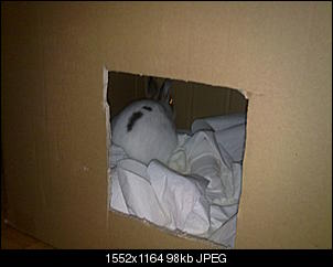 Wohnzimmergeeignete Buddelkiste-11102010219.jpg