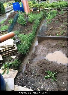 Bautagebuch: Familie Kunterbunt's "Bunny-In"-img-20150810-wa0012.jpg