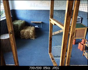 Bautagebuch: Familie Kunterbunt's "Bunny-In"-img-20150916-wa0008.jpg