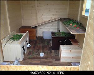 Holz im Pl�schi-Design-image.jpg