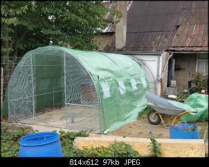 Bautagebuch: Familie Kunterbunt's "Bunny-In"-2016-09-20-14.35.13.jpg