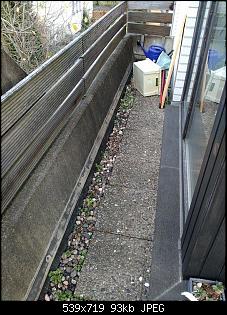 Balkon als Kaninchenheim- euer Rat?-15497625_1569062369786955_1162410023_n.jpg