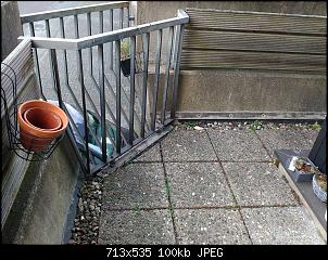 Balkon als Kaninchenheim- euer Rat?-15540121_1569062453120280_231858775_o.jpg