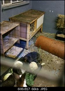 Bautagebuch: Familie Kunterbunt's "Bunny-In"-2017-01-23-11.46.26.jpg
