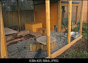 Ninchenhochsitz-30u2ulj.jpg