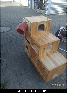 Kaninchen Spielplatz aus IKEA Stufenregal-p_20180901_150737_vhdr_on-768x1024.jpg