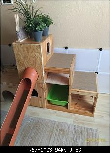 Kaninchen Spielplatz aus IKEA Stufenregal-p_20180902_120114_vhdr_on-768x1024.jpg