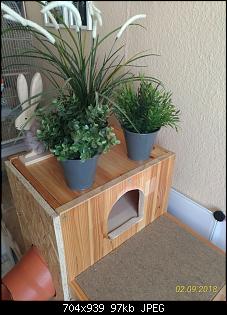 Kaninchen Spielplatz aus IKEA Stufenregal-p_20180902_120120_vhdr_on-768x1024.jpg