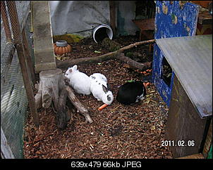 Futternapf erh�hung-pict3264.jpg