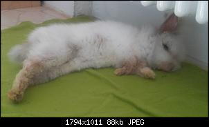 Niedrige Buddelkiste - Ideen?-20190329_111056.jpg