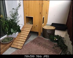 Schutzh�tte f�r Riesen-img_5134.jpg