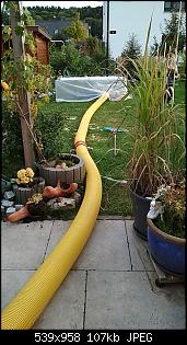 R�hrensystem im Garten-263904867_223313.jpg