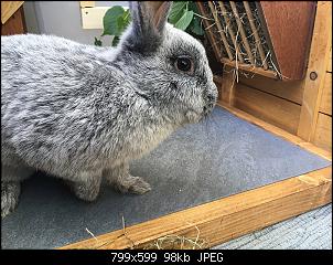 Klicke auf die Grafik f�r eine gr��ere Ansicht

Name:	4.jpg
Hits:	110
Gr��e:	98,1 KB
ID:	56371
