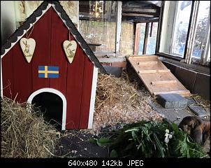 Schwedenhaus soll entstehen-746fe963-48c6-4409-b5a3-ea8fd0b0e446.jpeg