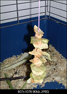 Futterband-pic_1574.jpg
