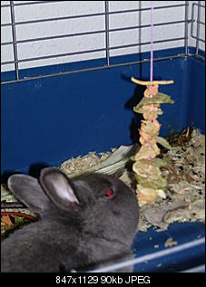 Futterband-pic_1581.jpg