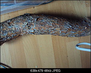 Geeignet?-dsc00958.jpg