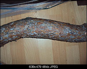 Geeignet?-dsc00959.jpg